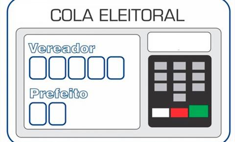 TSE orienta sobre o que o eleitor pode e não pode fazer